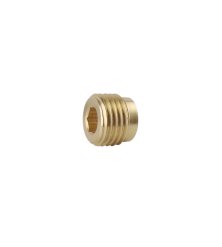 Brass 1/4" plug without flange for pressure-washer pump (13387)