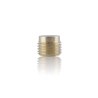Brass 1/4" plug without flange for pressure-washer pump (13387)