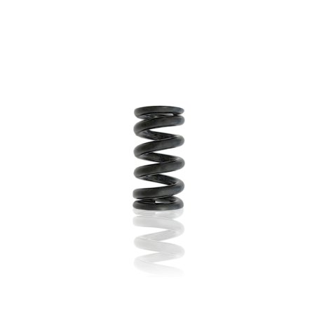 Pressure Regulator Spring 14125 – Pressure Element