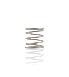 Injector Check Valve Compression Spring 14120