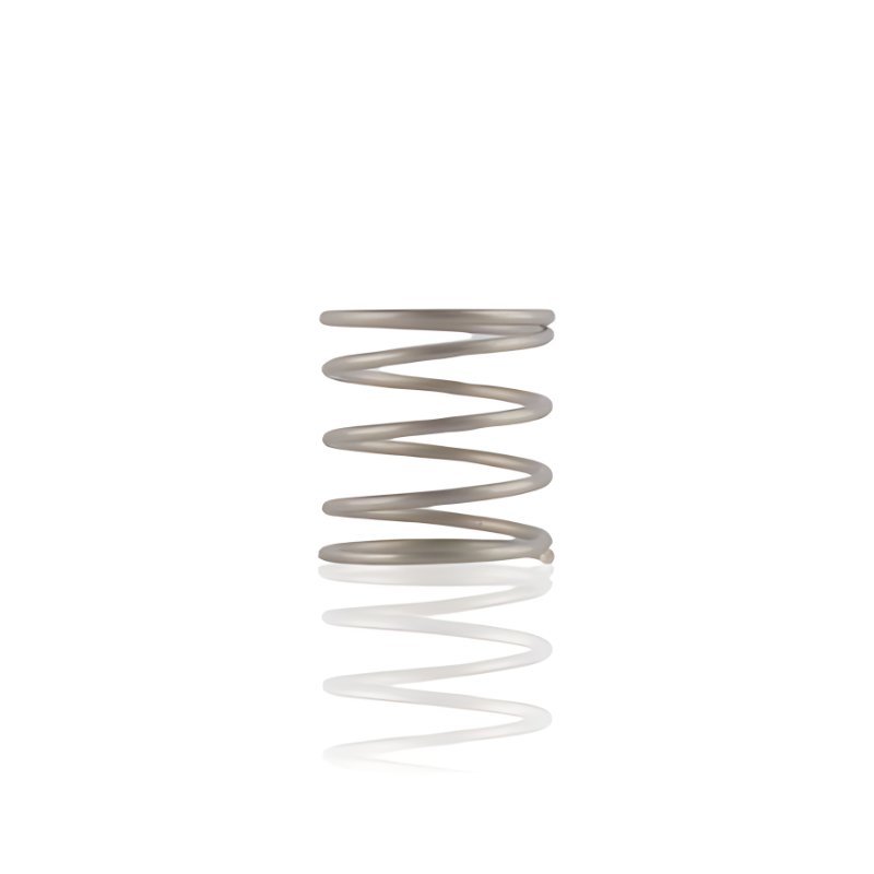 Injector Check Valve Compression Spring 14120