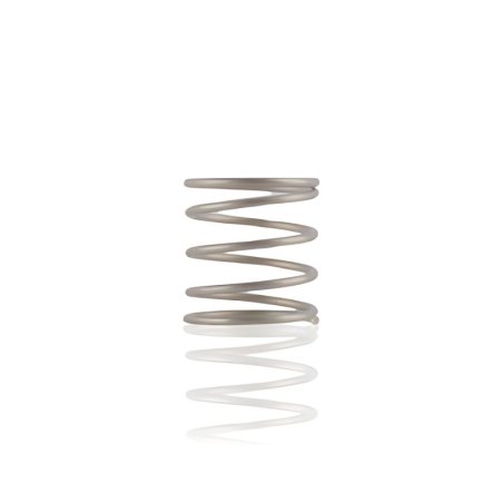 Injector Check Valve Compression Spring 14120