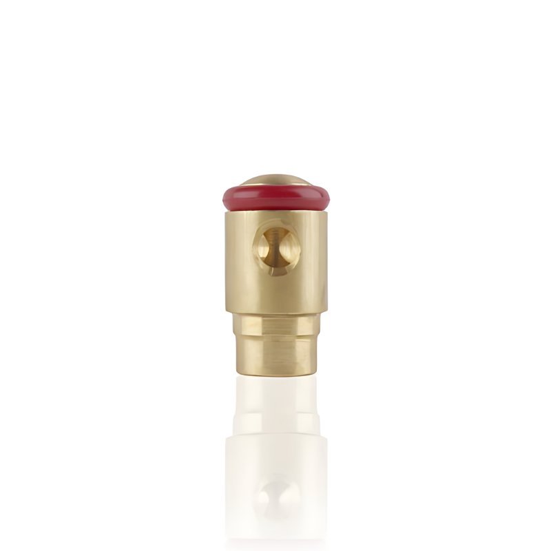 Spätný ventil pre čerpadlo AP s O-krúžkom 6x3 mm 14122