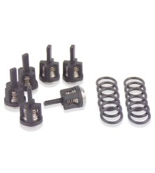 Repair Kit - Pump Valves AP