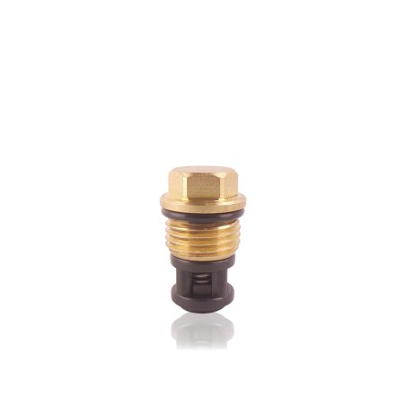 Plug with Check Valve for Kränzle Junior, K 1050 TS/P Pump