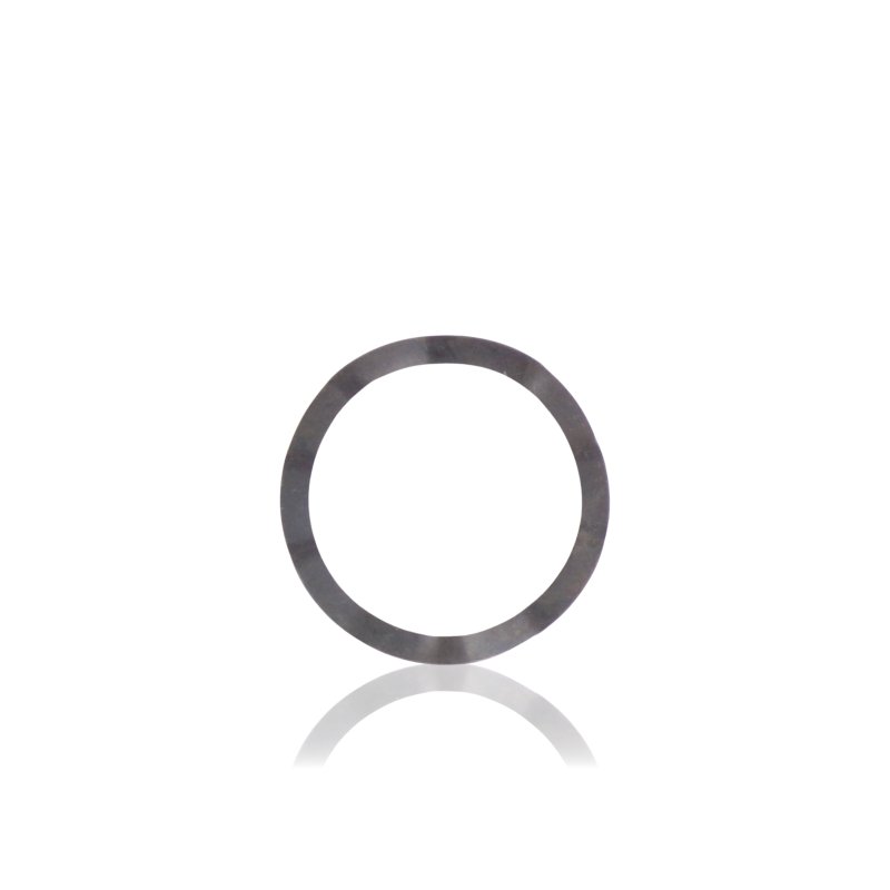 Compensating Washer for Bearing 6205 Kränzle Motor