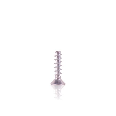 Screw 5.0x20 Plastic Screw for Kränzle Bully (454211)