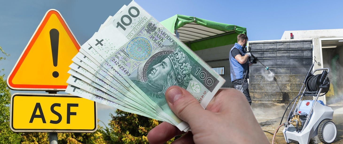 Myjki Ciśnieniowe Gorącowodne - dofinansowanie i bioasekuracja ASF